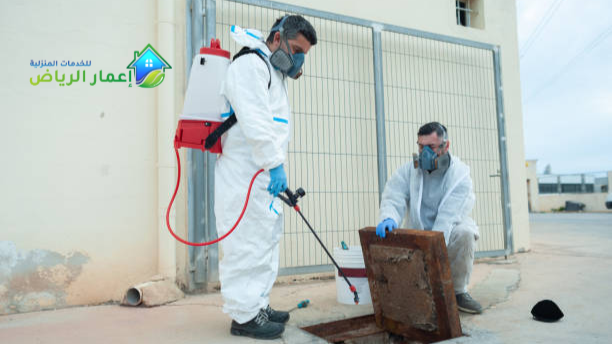افضل 6 نصائح لمكافحة الحشرات