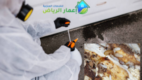 شركة مكافحة النمل الابيض بالرياض