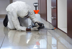 شركة رش مبيدات بحي الملز 0504898394 شركة اعمار الرياض