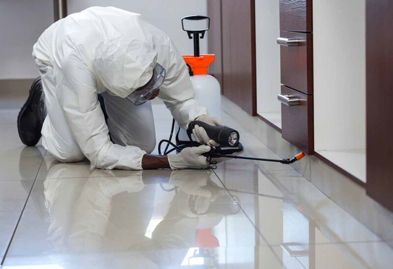 شركة رش مبيدات بحي الملز 0504898394 شركة اعمار الرياض