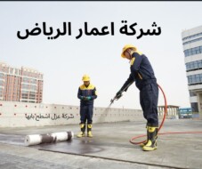 شركة عزل اسطح بابها