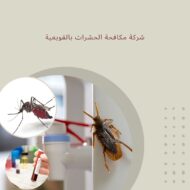 شركة مكافحة الحشرات بالقويعية 0504898394 شركة اعمار الرياض